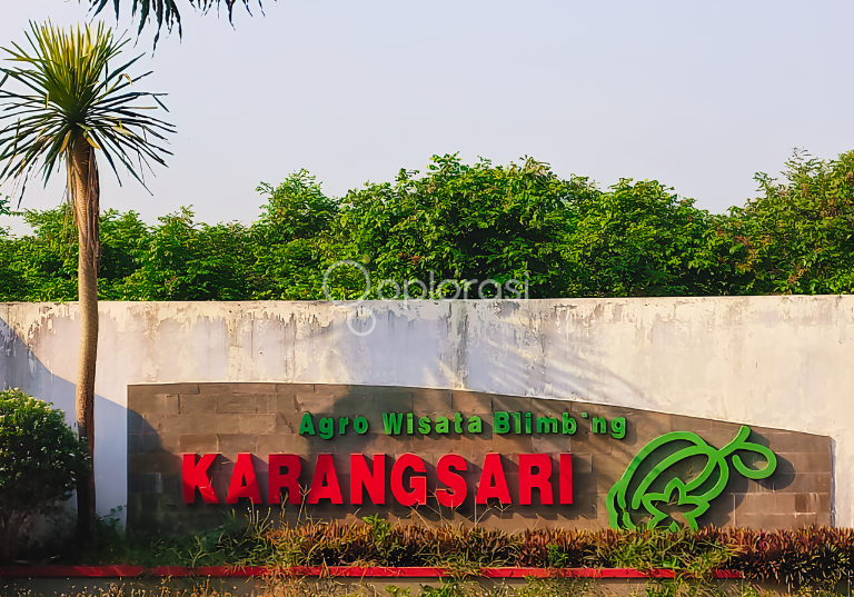 Serunya Petik Belimbing Agrowisata Belimbing Karangsari Blitar