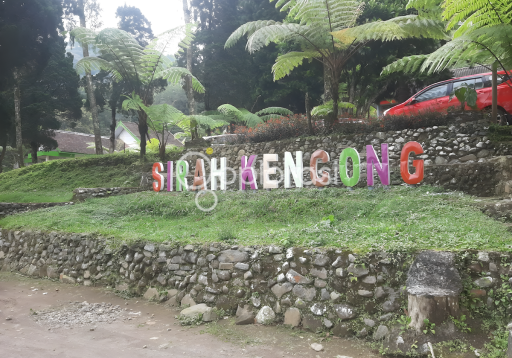 Perkebunan Teh Sirah Kencong Blitar: Pesona dan Sejarah Perjalanan Teh di Lereng Gunung Kelud