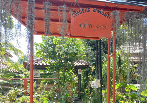 Allaz Cafe: Hidden Gem Cafe di Kota Batu Konsep Hutan Alami dan Dikelilingi Kolam Ikan!