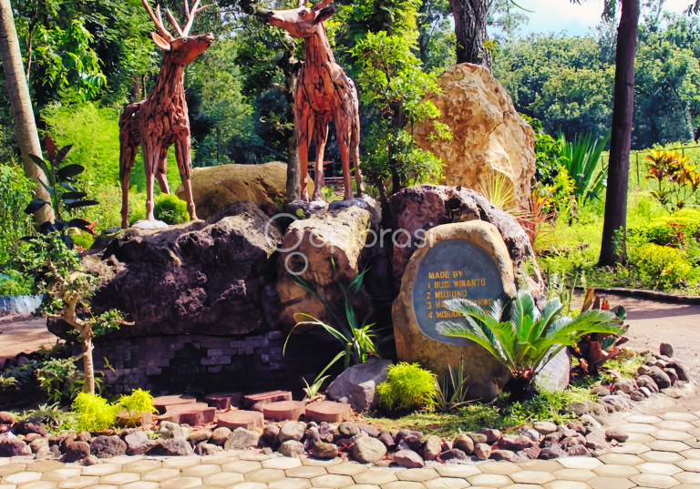 Kesambi Trees Park: Liburan Seru di Blitar, Lokasinya di Tempat Konservasi Rusa